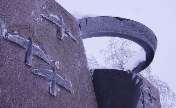 В Нарьян-Маре Росгвардия и полиция обеспечили безопасность более 80 участников патриотического митинга